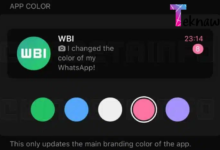 ثورة الألوان في واتساب على آيفون تخصيص لا مثيل له يصل إلى هاتفك!