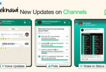 واتساب تقدم ميزة التحديثات الصوتية واستطلاعات الرأي في القنوات