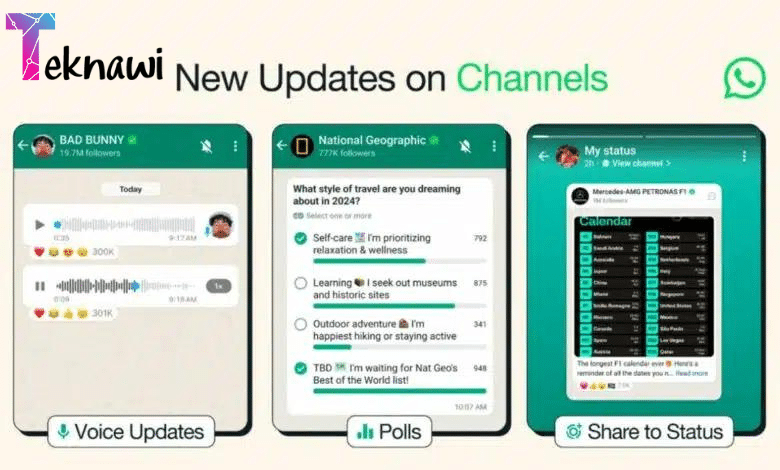 واتساب تقدم ميزة التحديثات الصوتية واستطلاعات الرأي في القنوات
