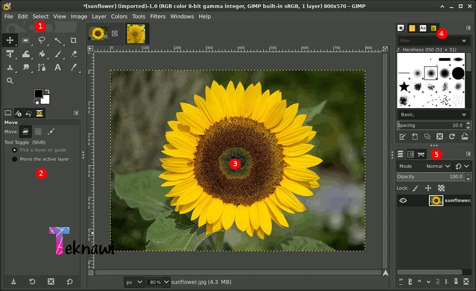 برنامج GIMP أفضل برامج تعديل الصور للكمبيوتر